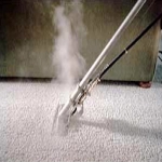 Rented House Carpets Cleaner 11