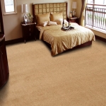 Commercial Offices Carpet Cleaners 5