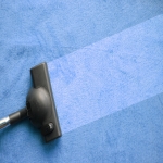 Neighbourhood Carpet Cleaning Services in West End 5