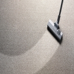 Professional Rug Cleaners in Milton 3