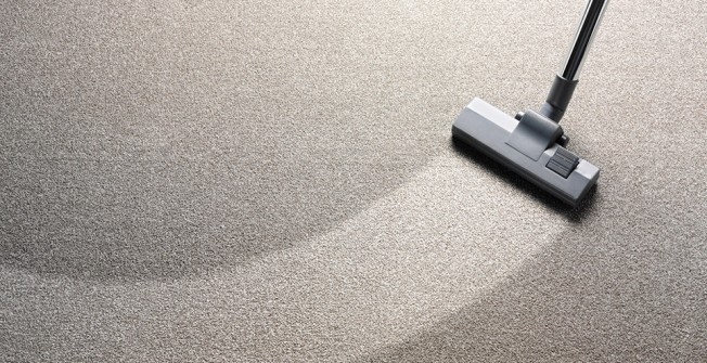 Carpet Cleaning Services in Sandford